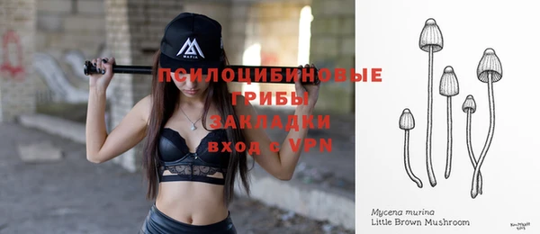 прущая мука Лабытнанги