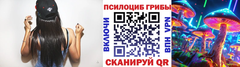 МЕГА зеркало  Урус-Мартан  Псилоцибиновые грибы мицелий 